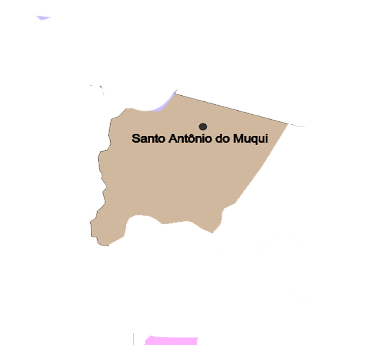 Google Regional Map
