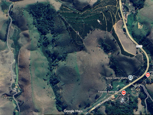 Desmatamento ilegal destrói mais de 3 hectares de Mata Atlântica em área rural de Mimoso do Sul